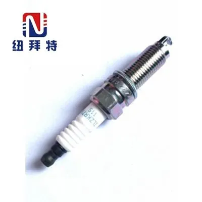 Auto Parts Ignition Plug